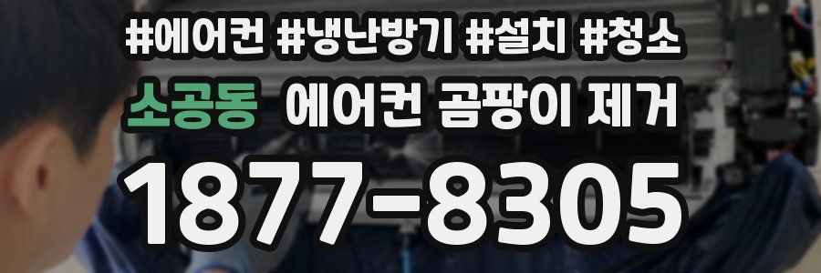 소공동 에어컨 곰팡이 제거