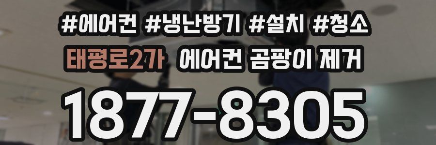 태평로2가 에어컨 곰팡이 제거