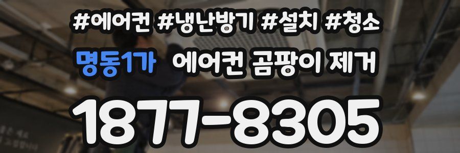 명동1가 에어컨 곰팡이 제거