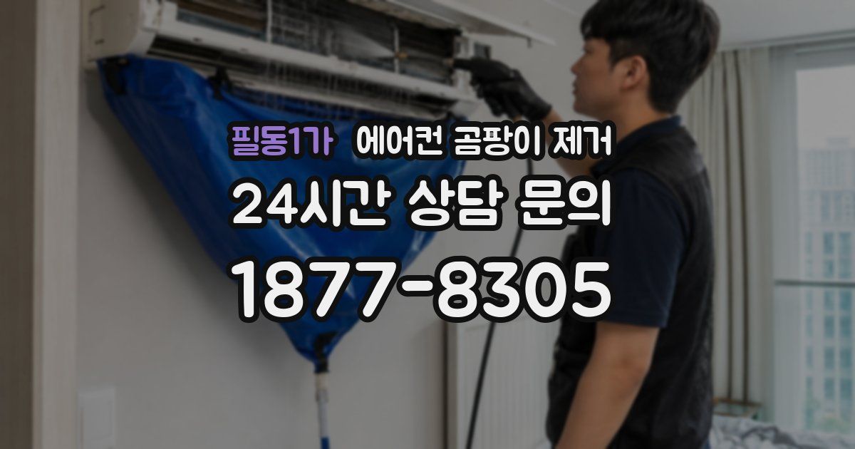 필동1가 에어컨 곰팡이 제거