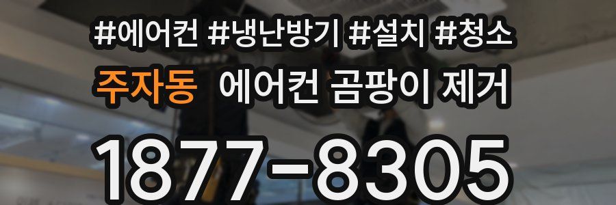 주자동 에어컨 곰팡이 제거
