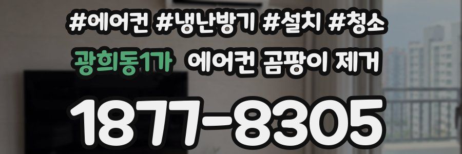 광희동1가 에어컨 곰팡이 제거