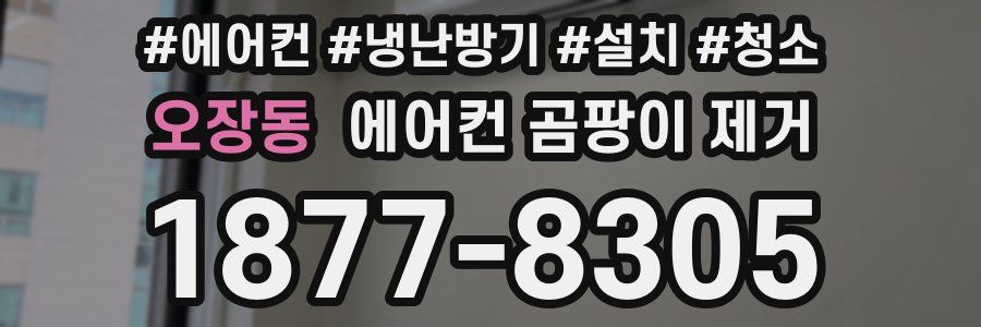 오장동 에어컨 곰팡이 제거