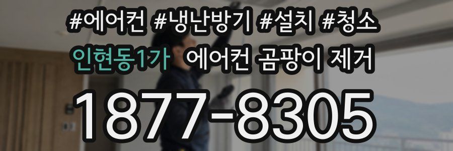 인현동1가 에어컨 곰팡이 제거