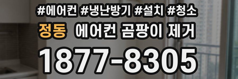 정동 에어컨 곰팡이 제거