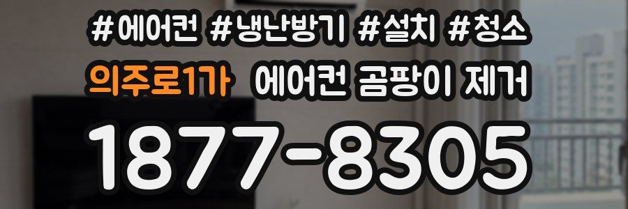 의주로1가 에어컨 곰팡이 제거