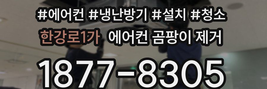 한강로1가 에어컨 곰팡이 제거