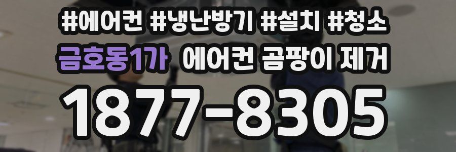 금호동1가 에어컨 곰팡이 제거
