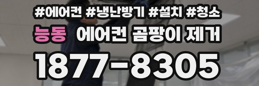능동 에어컨 곰팡이 제거