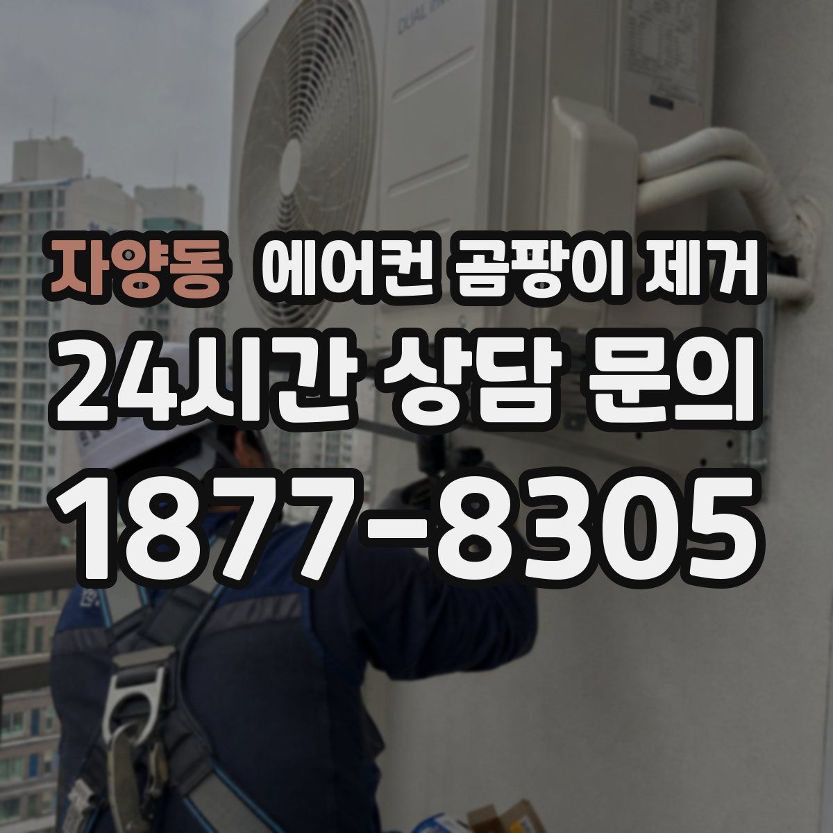 자양동 에어컨 곰팡이 제거