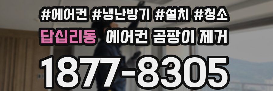 답십리동 에어컨 곰팡이 제거