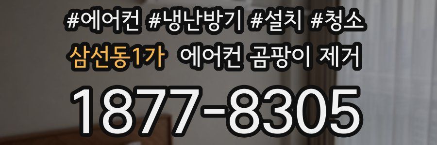 삼선동1가 에어컨 곰팡이 제거