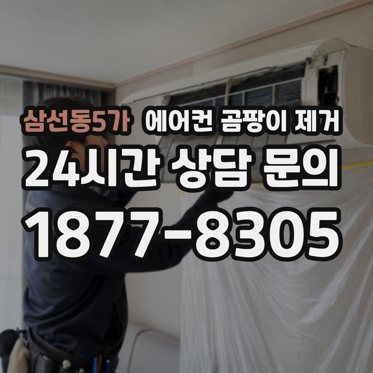삼선동5가 에어컨 곰팡이 제거