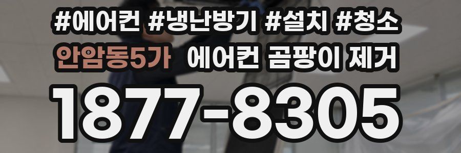 안암동5가 에어컨 곰팡이 제거