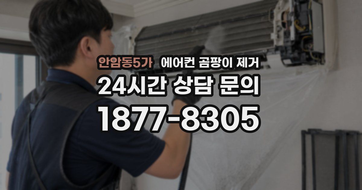 안암동5가 에어컨 곰팡이 제거