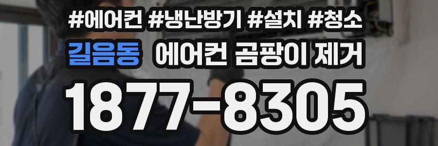 길음동 에어컨 곰팡이 제거
