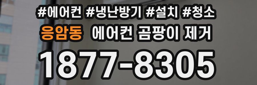 응암동 에어컨 곰팡이 제거