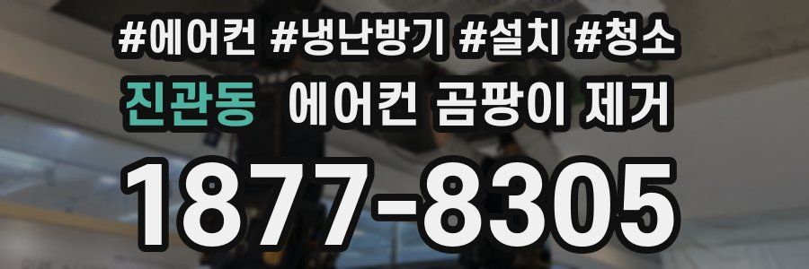 진관동 에어컨 곰팡이 제거