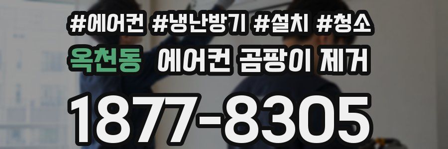 옥천동 에어컨 곰팡이 제거