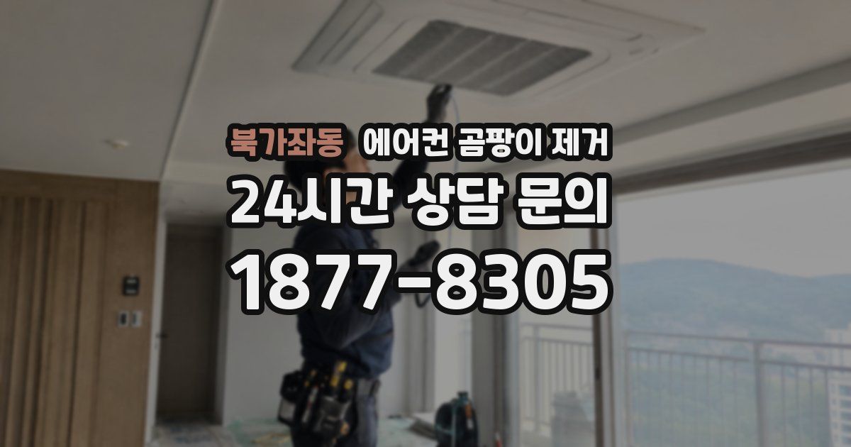 북가좌동 에어컨 곰팡이 제거