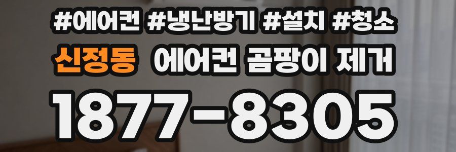 신정동 에어컨 곰팡이 제거