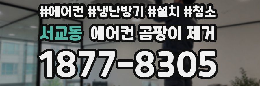 서교동 에어컨 곰팡이 제거