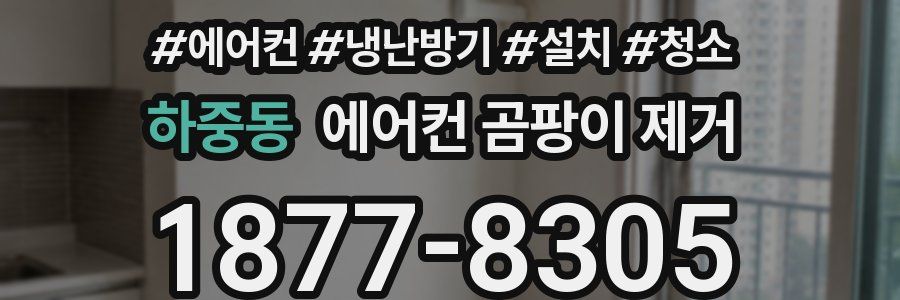 하중동 에어컨 곰팡이 제거
