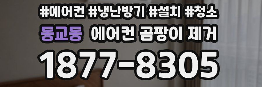 동교동 에어컨 곰팡이 제거