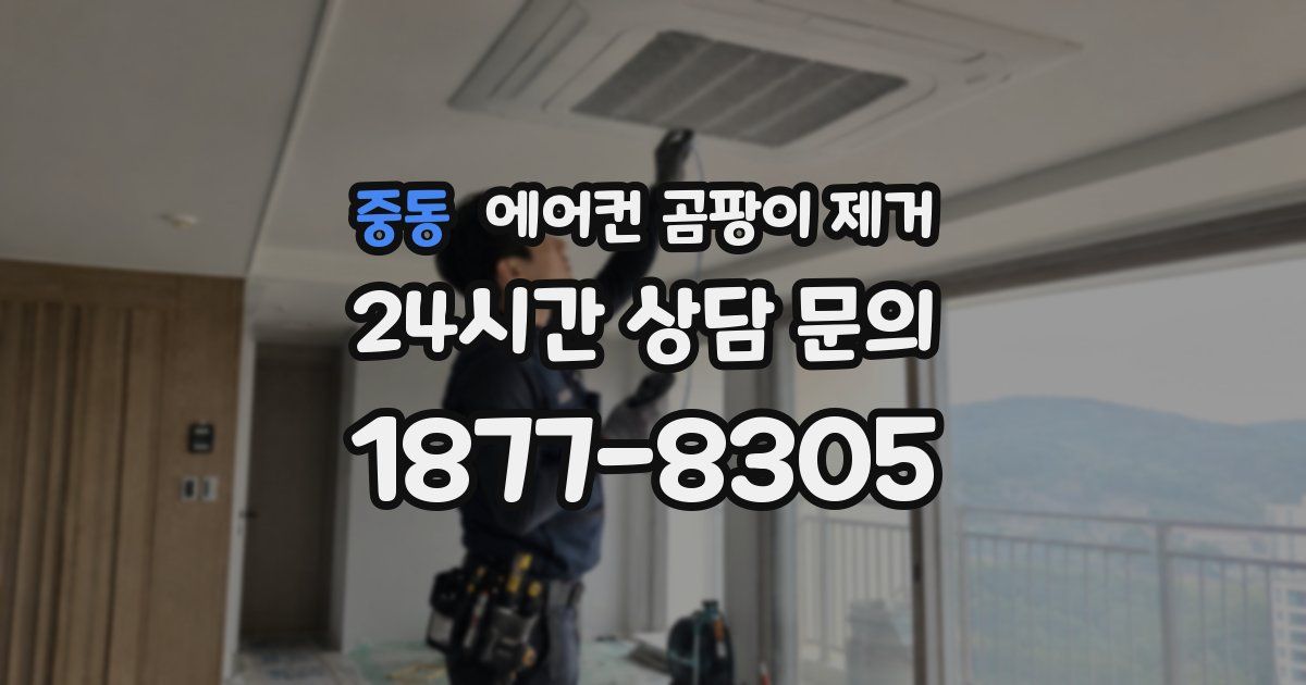 중동 에어컨 곰팡이 제거