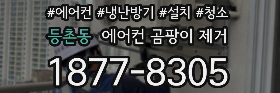등촌동 에어컨 곰팡이 제거