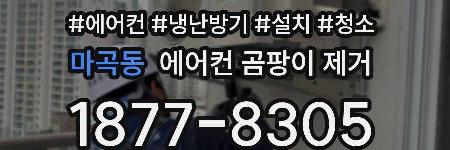 마곡동 에어컨 곰팡이 제거