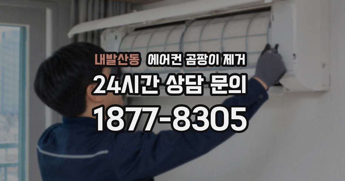 내발산동 에어컨 곰팡이 제거