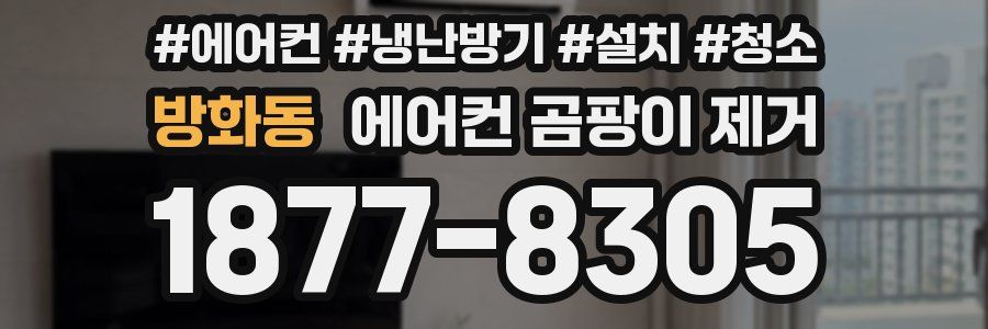 방화동 에어컨 곰팡이 제거