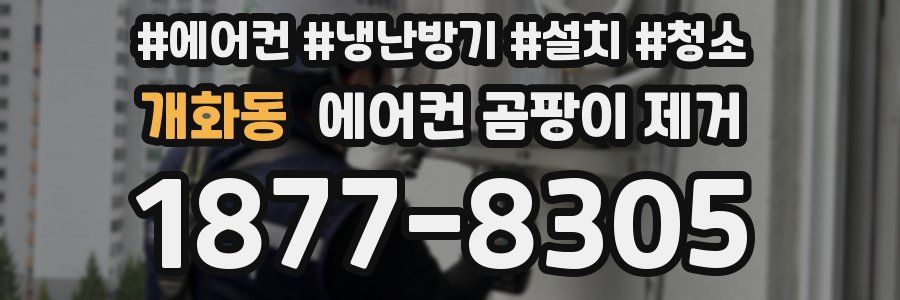 개화동 에어컨 곰팡이 제거