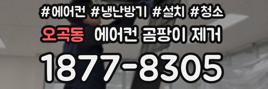 오곡동 에어컨 곰팡이 제거