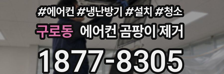 구로동 에어컨 곰팡이 제거