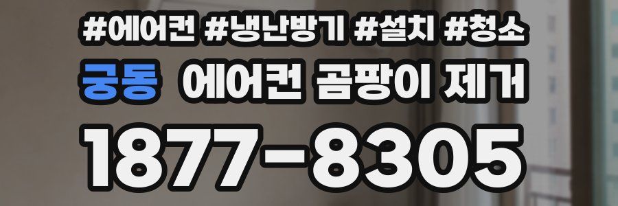 궁동 에어컨 곰팡이 제거