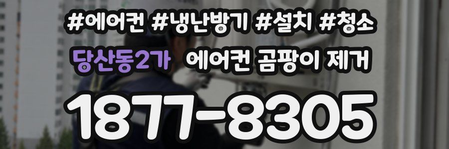 당산동2가 에어컨 곰팡이 제거