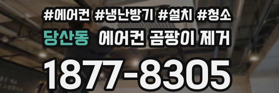 당산동 에어컨 곰팡이 제거