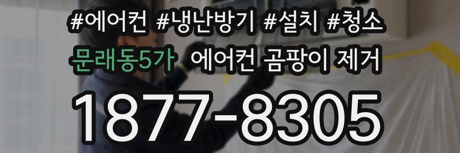 문래동5가 에어컨 곰팡이 제거