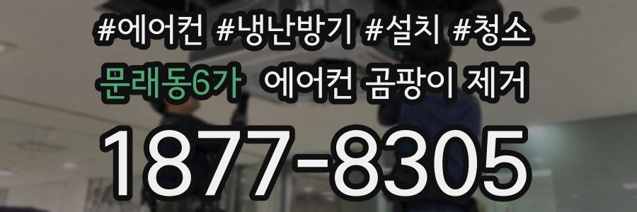 문래동6가 에어컨 곰팡이 제거