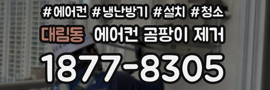 대림동 에어컨 곰팡이 제거