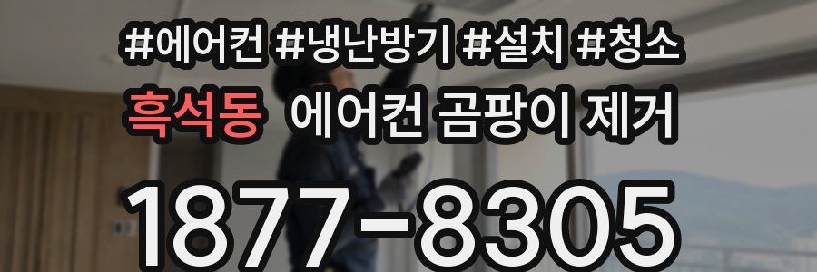 흑석동 에어컨 곰팡이 제거