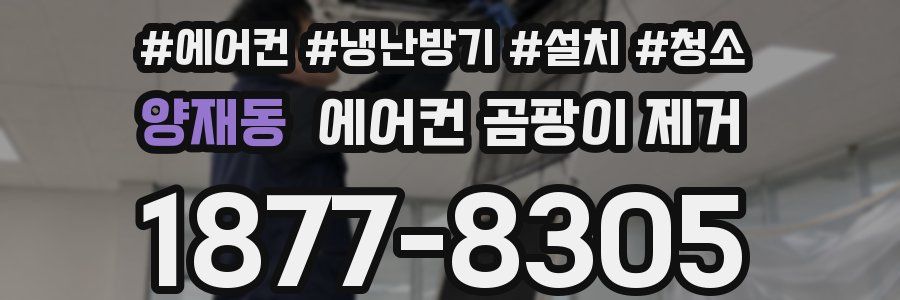 양재동 에어컨 곰팡이 제거