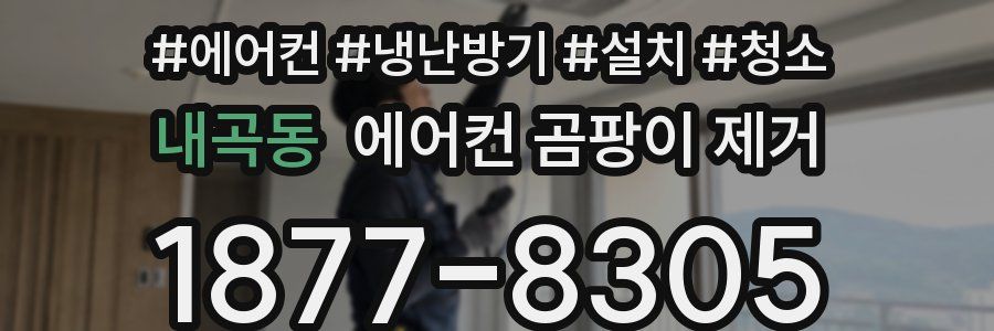 내곡동 에어컨 곰팡이 제거