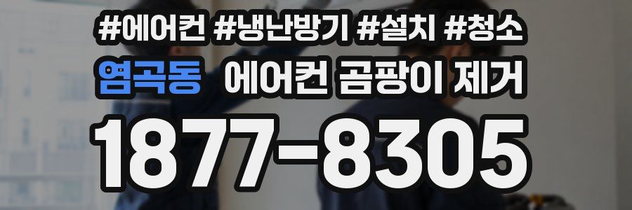 염곡동 에어컨 곰팡이 제거