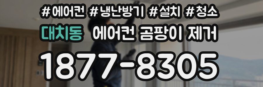 대치동 에어컨 곰팡이 제거