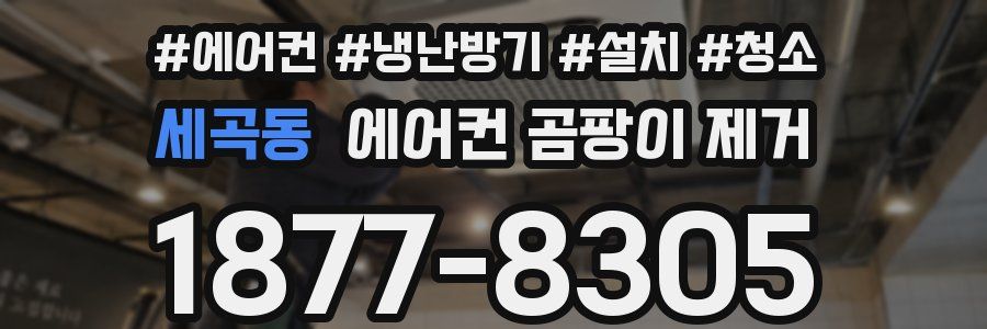세곡동 에어컨 곰팡이 제거