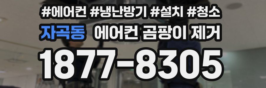 자곡동 에어컨 곰팡이 제거