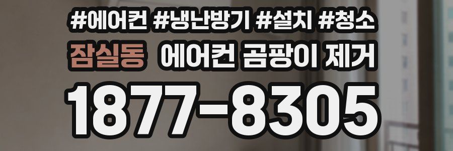 잠실동 에어컨 곰팡이 제거